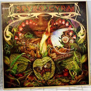 Vintage 1979  Spyro Gyra Morning Dance Vinyl Album LP Record Jazz Fusion Music